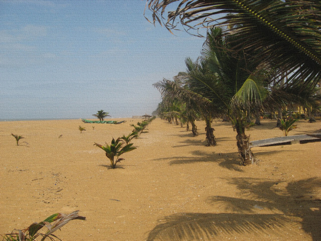 Plage du Bnin domaine public