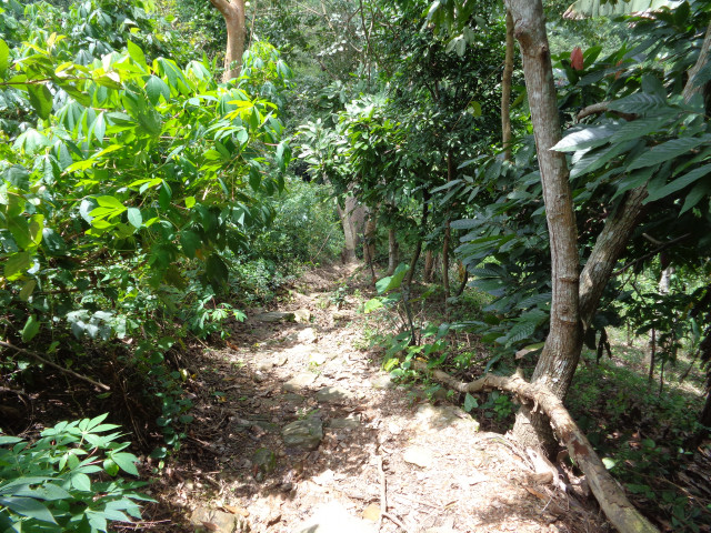 Sentier de la cascade d'Agbatoe domaine public