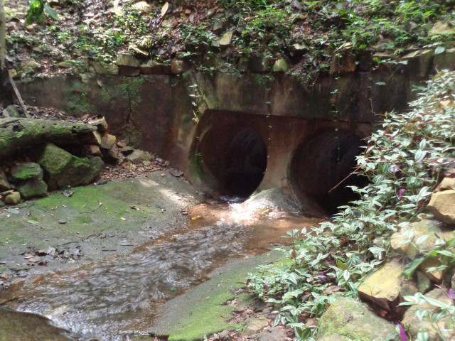 Cascade de Kamalo